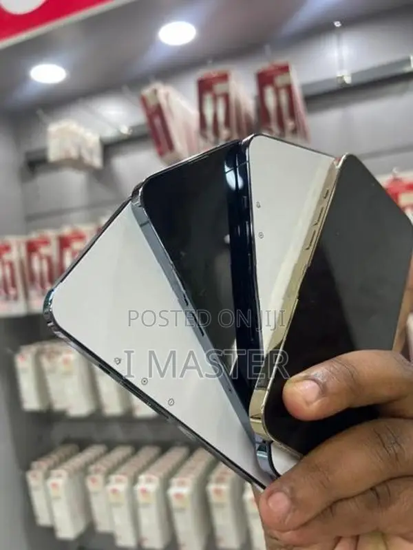 Apple iPhone 13 Pro 256GB (Used)