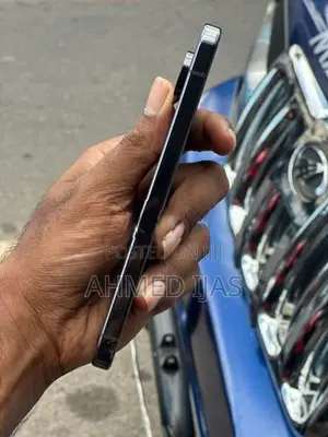 Google Pixel 9 Pro XL (Used)