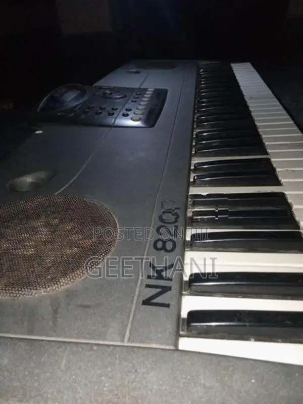 Bontempi Leonardo NK8200 keyboard Organ.