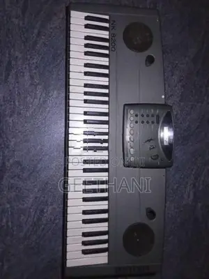 Bontempi Leonardo NK8200 keyboard Organ.
