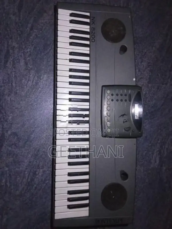 Bontempi Leonardo NK8200 keyboard Organ.