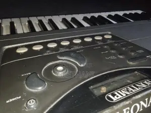 Bontempi Leonardo NK8200 keyboard Organ.