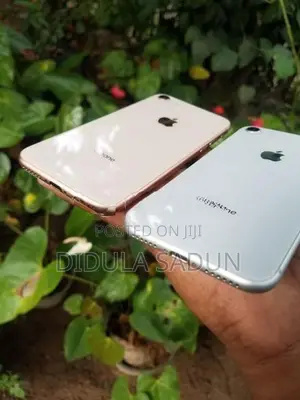 Apple iPhone 8 (Used)
