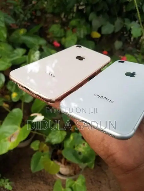 Apple iPhone 8 (Used)
