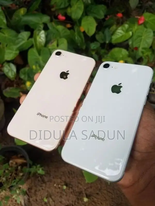 Apple iPhone 8 (Used)