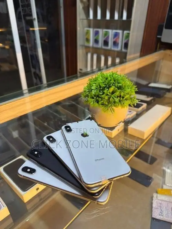 Apple iPhone X 256GB (Used)