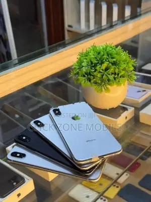 Apple iPhone X 256GB (Used)