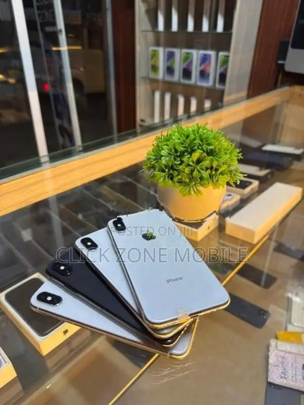 Apple iPhone X 256GB (Used)