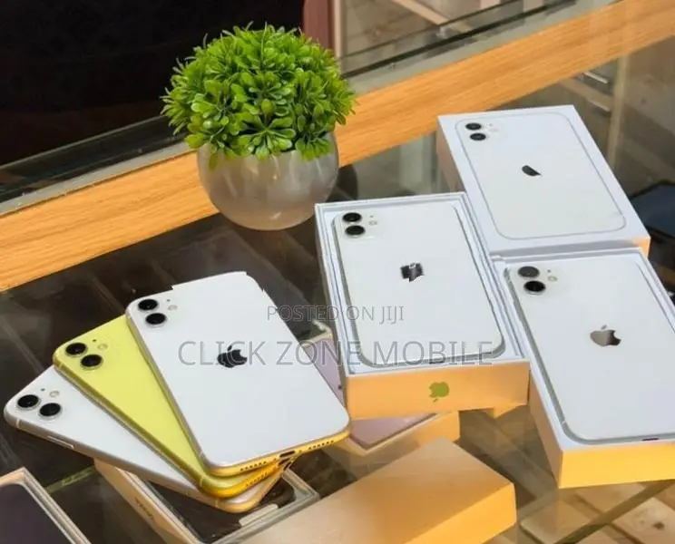 Apple iPhone 11 256GB (Used)