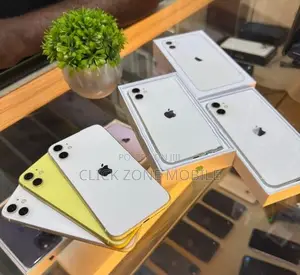 Apple iPhone 11 256GB (Used)