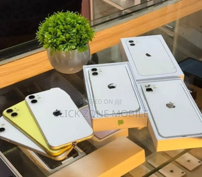 Apple iPhone 11 256GB (Used)