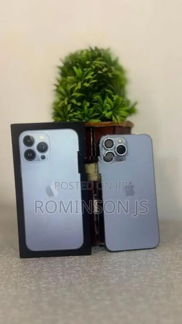 Apple iPhone 13 Pro Max (Used)