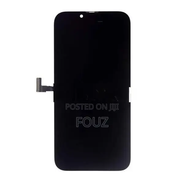 Apple iPhone 13 Pro Display