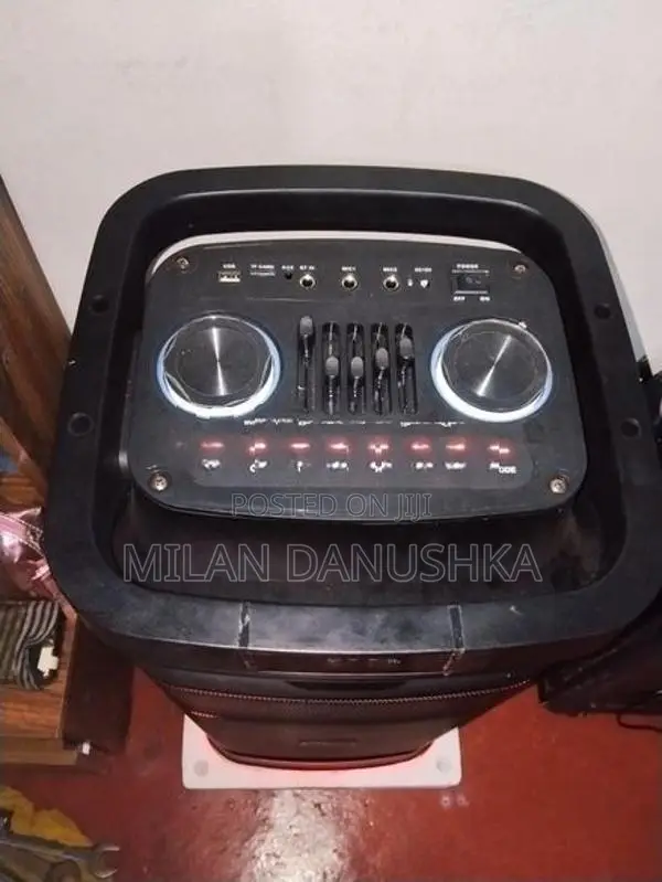 Ravo Parti Box Speaker