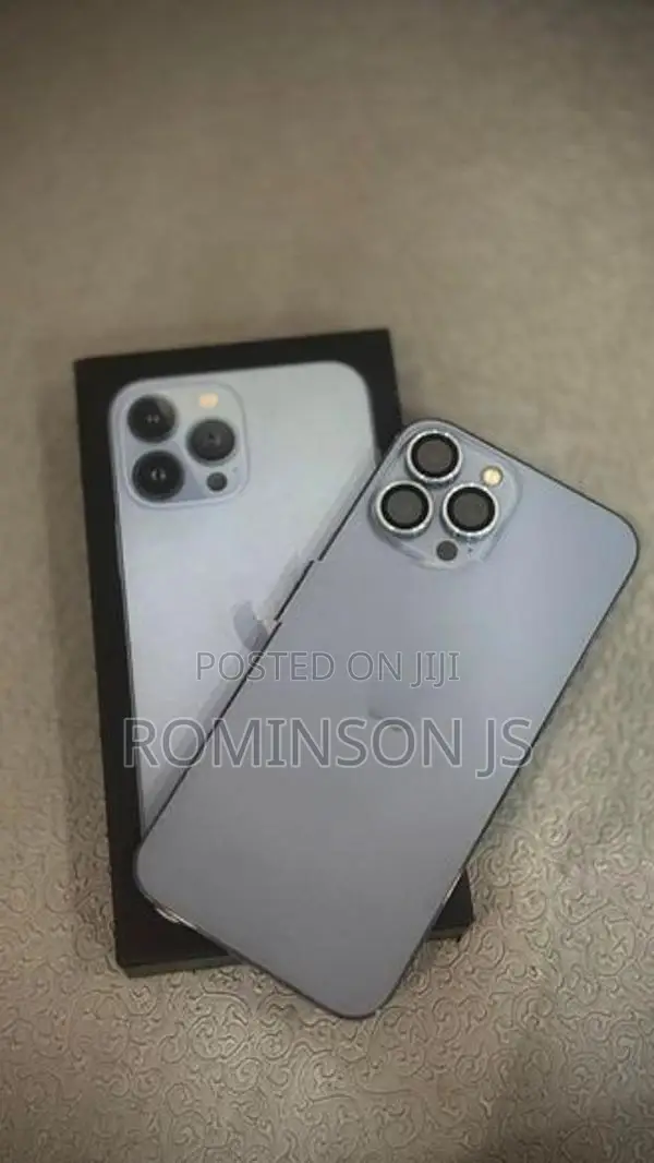 Apple iPhone 13 Pro Max (Used)