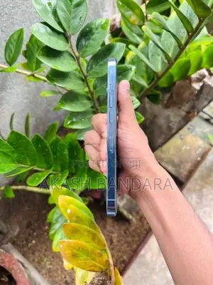 Apple iPhone 13 Pro (Used)