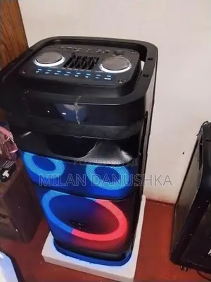 Ravo Parti Box Speaker