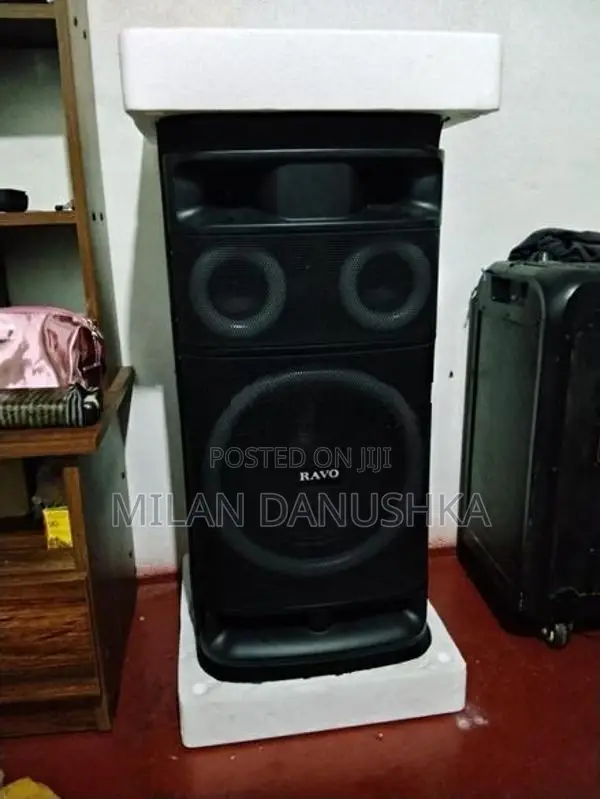 Ravo Parti Box Speaker
