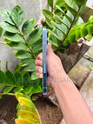 Apple iPhone 13 Pro (Used)