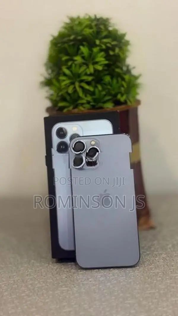 Apple iPhone 13 Pro Max (Used)