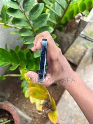Apple iPhone 13 Pro (Used)