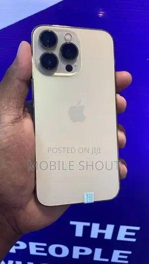 Apple iPhone 13 Pro 128GB (Used)
