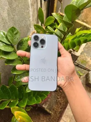 Apple iPhone 13 Pro (Used)