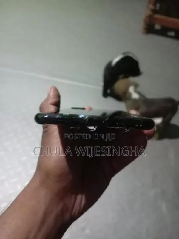 Apple iPhone 7 Plus (Used)