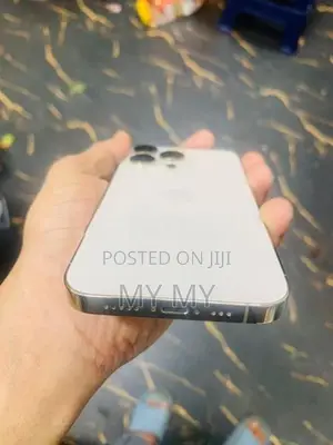Apple iPhone 13 Pro (Used)