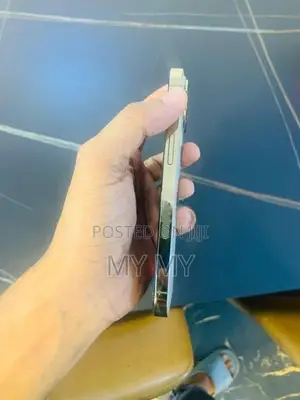 Apple iPhone 13 Pro (Used)
