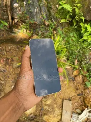 Apple iPhone 13 Pro (Used)