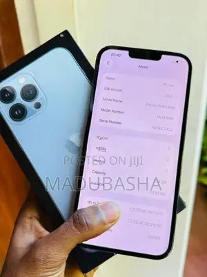 Apple iPhone 13 Pro Max | 256gb (Used)