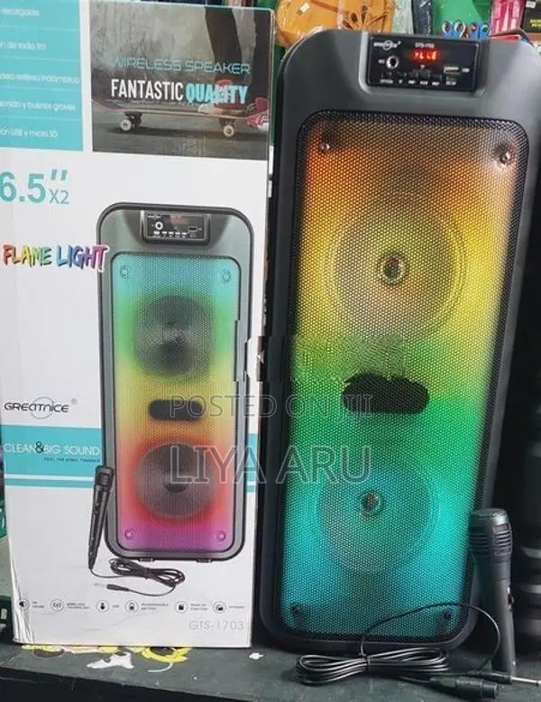 6.5*2 Inch Bluetooth Speaker GTS 1703