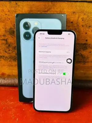 Apple iPhone 13 Pro Max 256GB (Used)