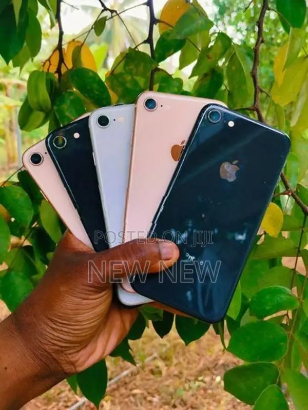 Apple iPhone 8 64GB (Used)