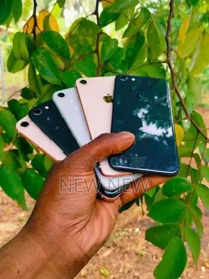 Apple iPhone 8 64GB (Used)