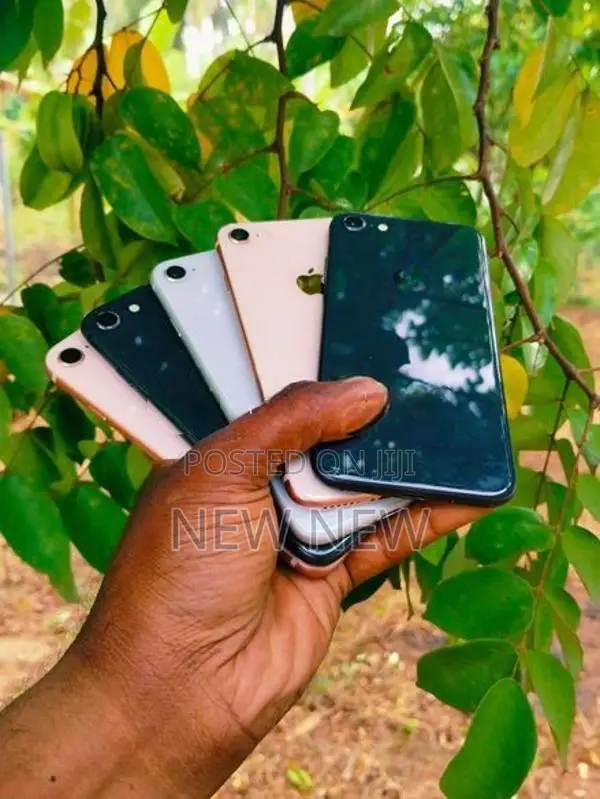 Apple iPhone 8 64GB (Used)