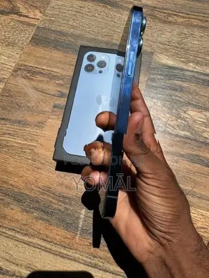 Apple iPhone 13 Pro Max (Used)