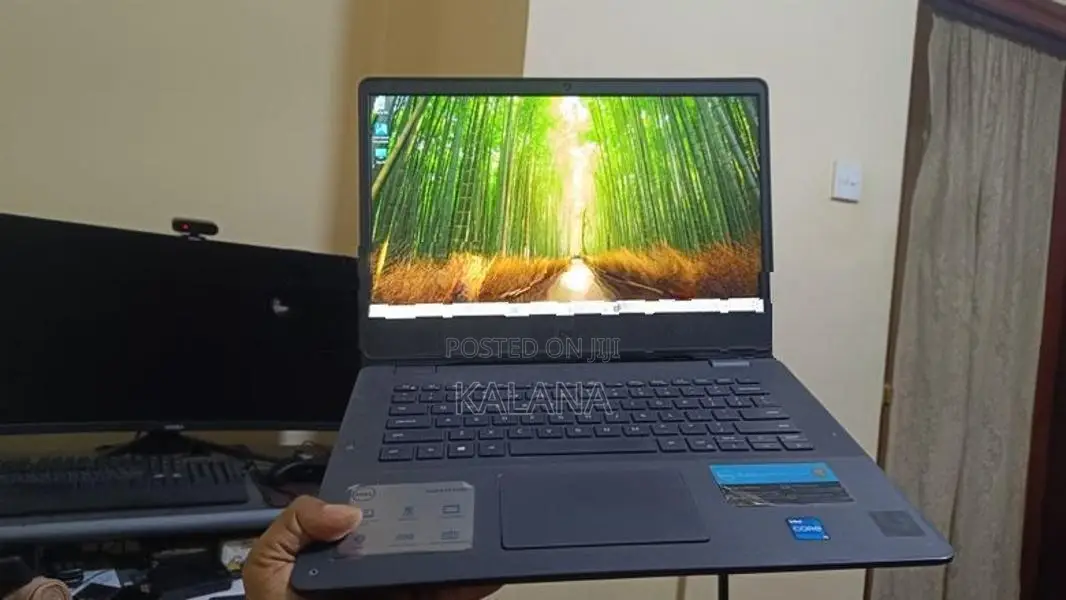 Laptop (Dell Vostro 14 3400)