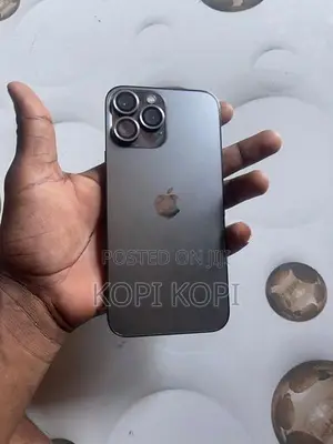 Apple iPhone 13 Pro Max (Used)