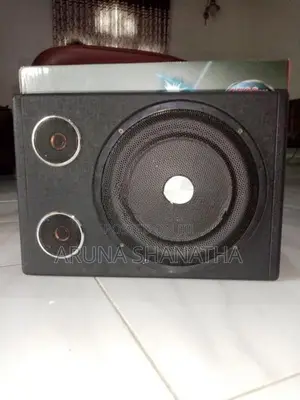 Car Subwoofer