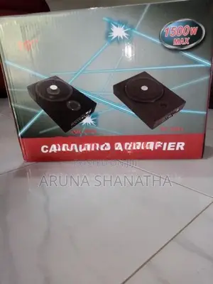 Car Subwoofer