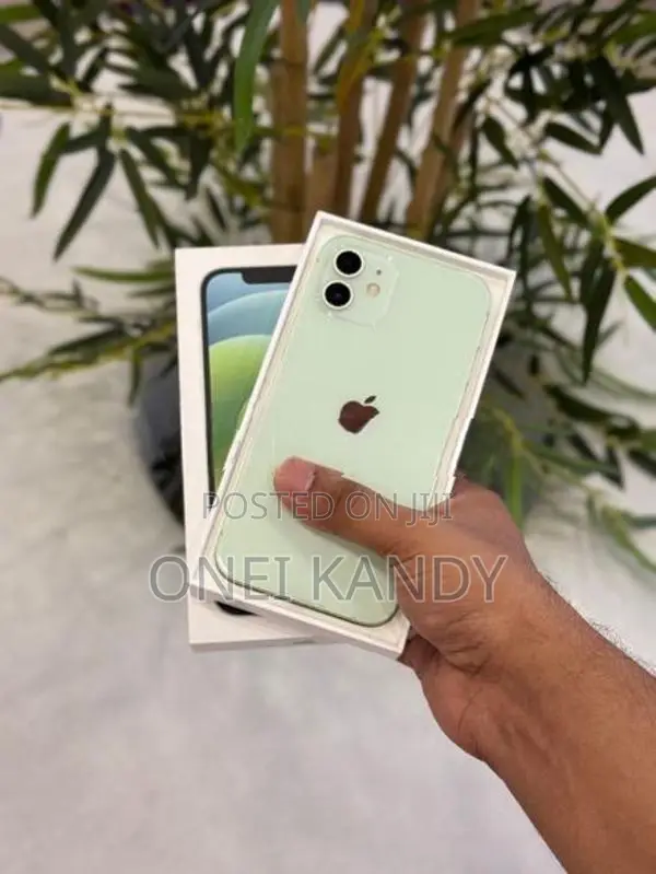 Apple iPhone 12 128GB (Used)