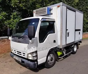 Isuzu Elf 250 2016