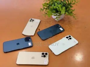 Apple iPhone 12 Pro 256GB (Used)