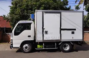 Isuzu Elf 250 2016