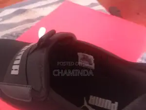 Puma Shoe