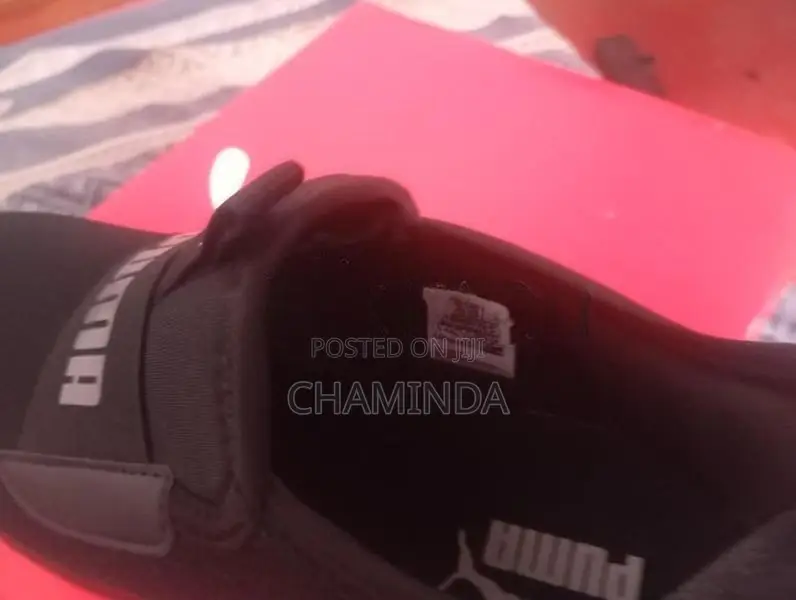 Puma Shoe