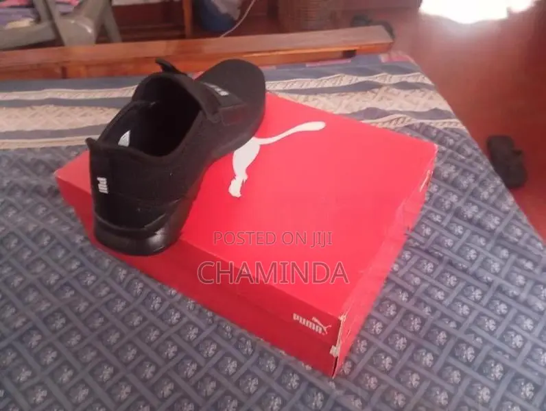 Puma Shoe