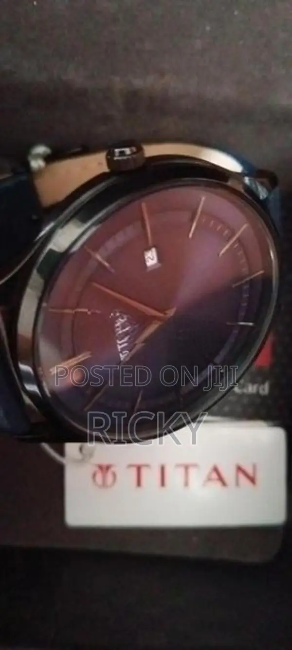 Titan Gents Watch